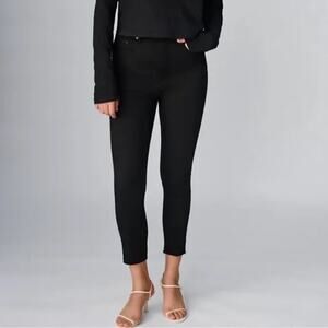 Aritzia Denim Forum The Lola High Rise Skinny 26L Black